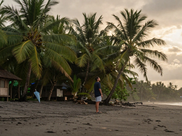 What is the cheapest time of year to travel? Find the best budget months for flights and hotels