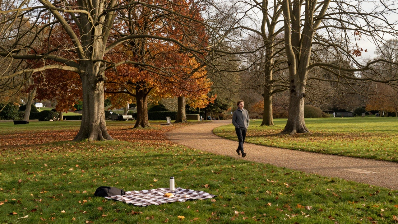 Peaceful walk in UK autumn park with simple picnic setup